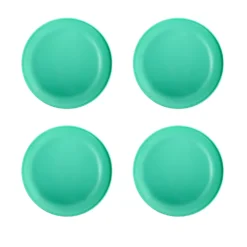 The Big One® 4-pc. Plastic Dinner Plate Set